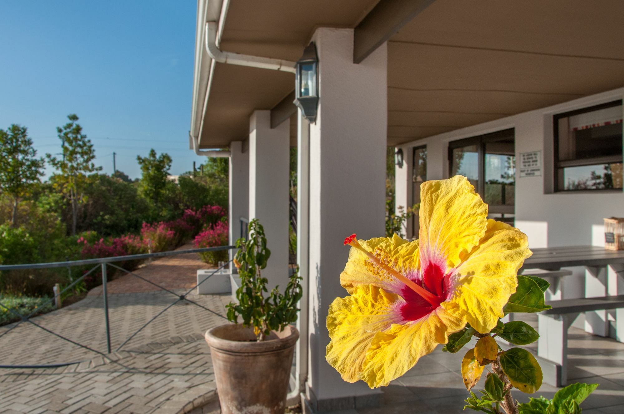Wind-Rose Guest House Gordonʼs Bay Exteriör bild